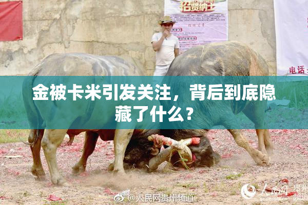 金被卡米引发关注，背后到底隐藏了什么？