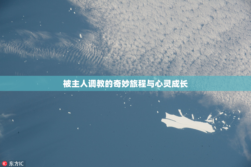 被主人调教的奇妙旅程与心灵成长