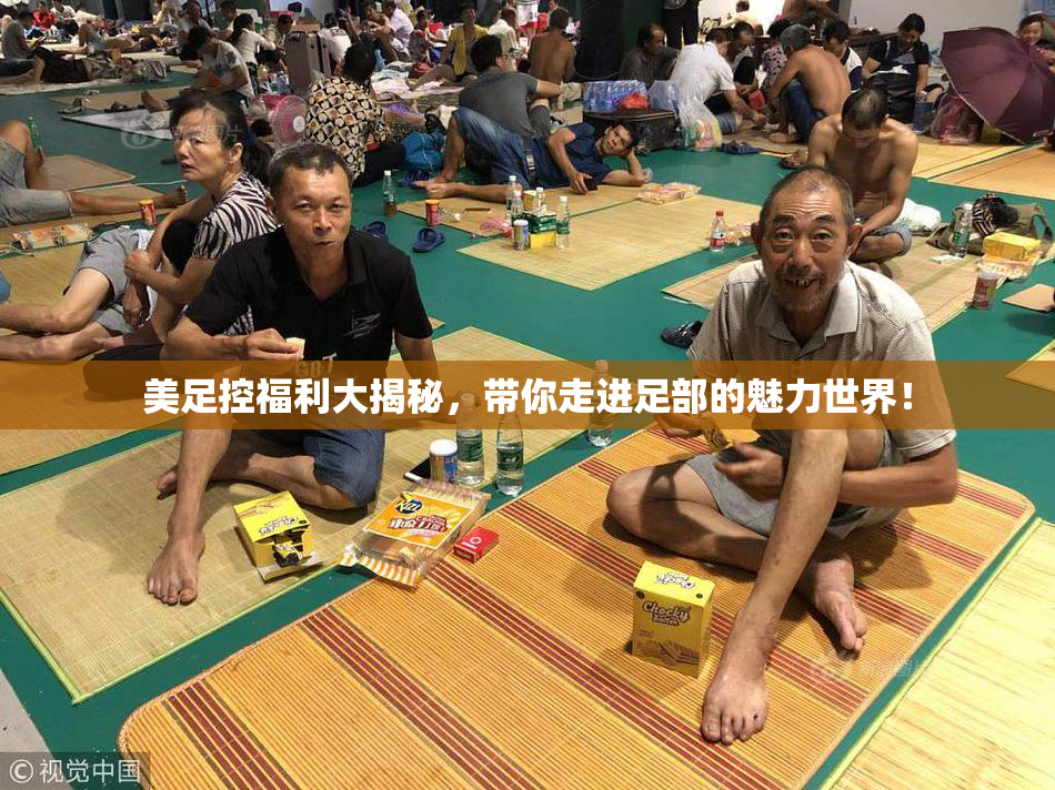美足控福利大揭秘，带你走进足部的魅力世界！
