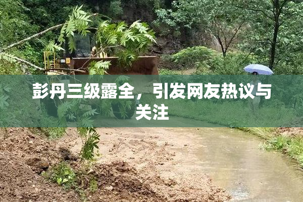 彭丹三级露全，引发网友热议与关注