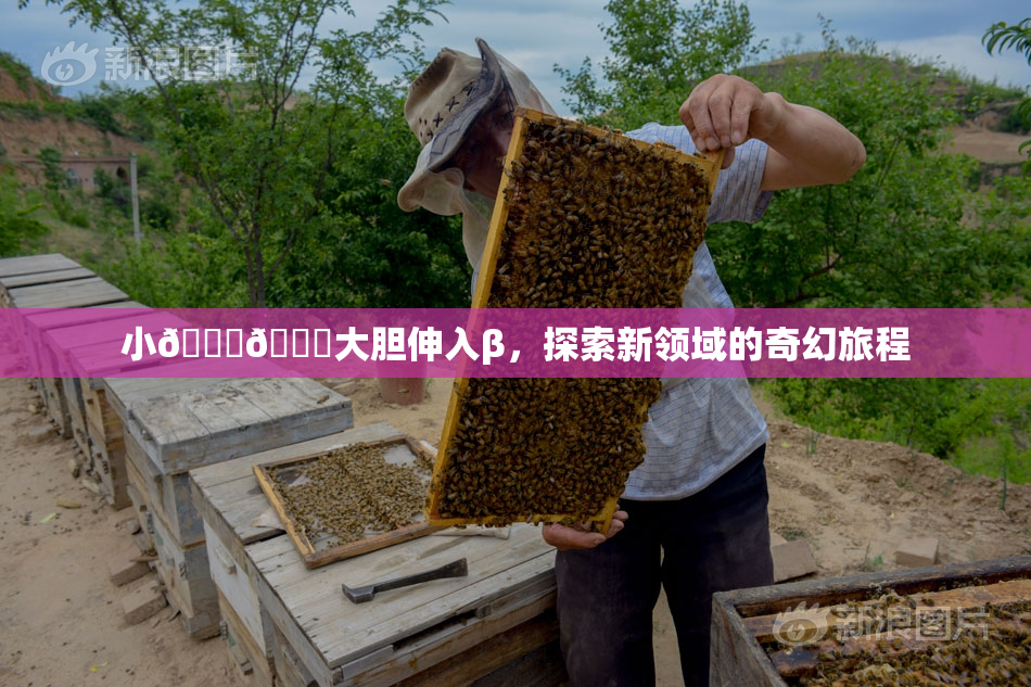 小🐔🐔大胆伸入β，探索新领域的奇幻旅程