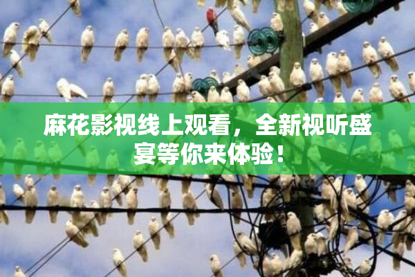 麻花影视线上观看，全新视听盛宴等你来体验！
