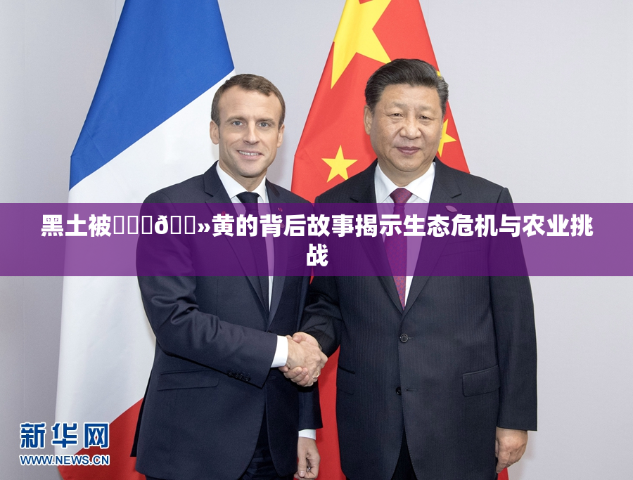 黑土被❌‌‌🐻黄的背后故事揭示生态危机与农业挑战