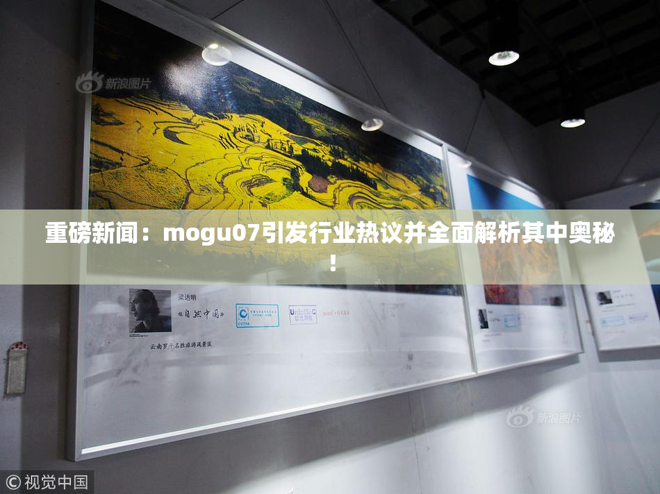 重磅新闻：mogu07引发行业热议并全面解析其中奥秘！