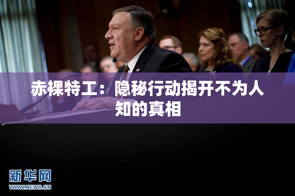 赤裸特工：隐秘行动揭开不为人知的真相