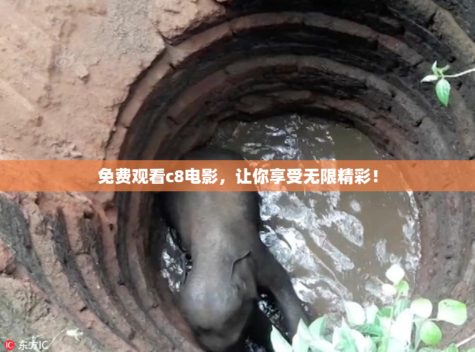 免费观看c8电影，让你享受无限精彩！