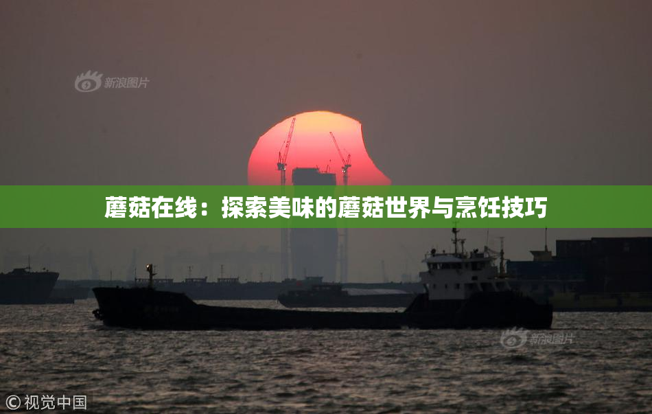 蘑菇在线：探索美味的蘑菇世界与烹饪技巧