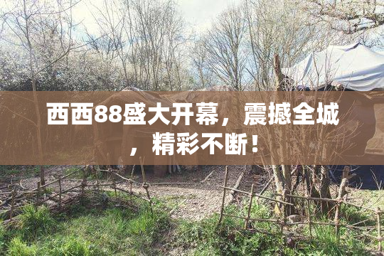 西西88盛大开幕，震撼全城，精彩不断！