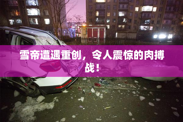 雪帝遭遇重创，令人震惊的肉搏战！
