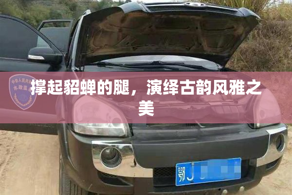 撑起貂蝉的腿，演绎古韵风雅之美
