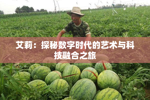 艾莉：探秘数字时代的艺术与科技融合之旅
