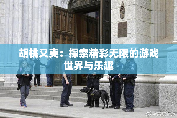 胡桃又爽：探索精彩无限的游戏世界与乐趣