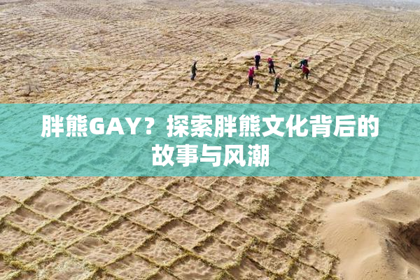 胖熊GAY？探索胖熊文化背后的故事与风潮
