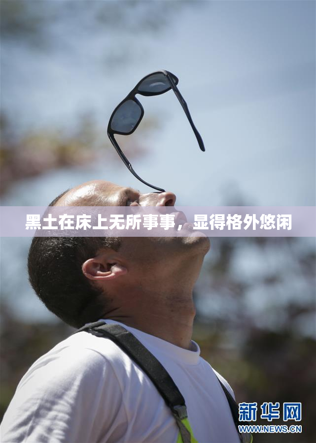 黑土在床上无所事事，显得格外悠闲