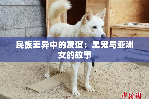 民族差异中的友谊：黑鬼与亚洲女的故事