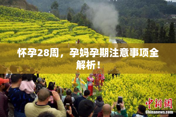 怀孕28周，孕妈孕期注意事项全解析！