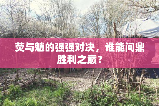 荧与魈的强强对决，谁能问鼎胜利之巅？