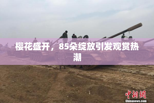 樱花盛开，85朵绽放引发观赏热潮