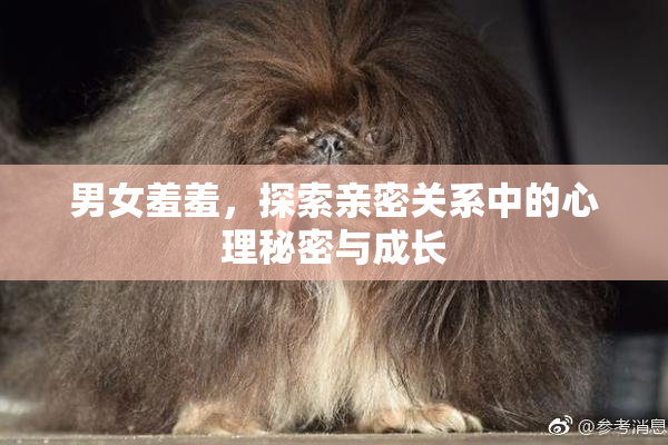 男女羞羞，探索亲密关系中的心理秘密与成长