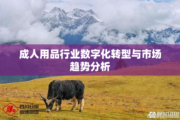 成人用品行业数字化转型与市场趋势分析