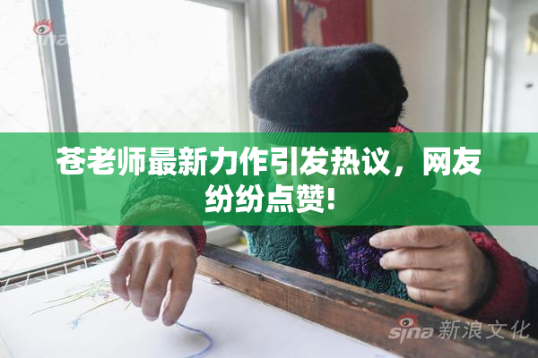 苍老师最新力作引发热议，网友纷纷点赞!