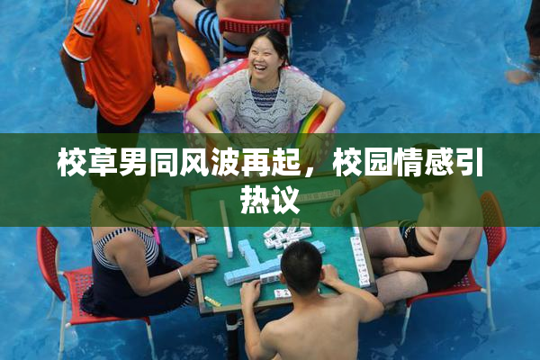 校草男同风波再起，校园情感引热议
