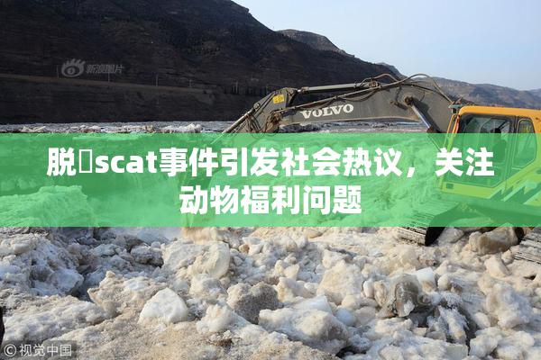 脱糞scat事件引发社会热议，关注动物福利问题