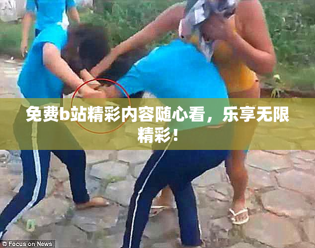 免费b站精彩内容随心看，乐享无限精彩！