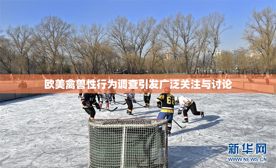 欧美禽兽性行为调查引发广泛关注与讨论