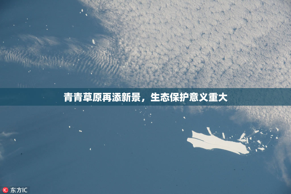 青青草原再添新景，生态保护意义重大