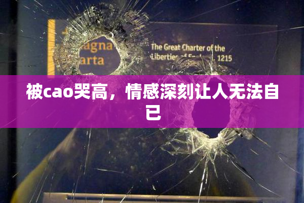 被cao哭高，情感深刻让人无法自已