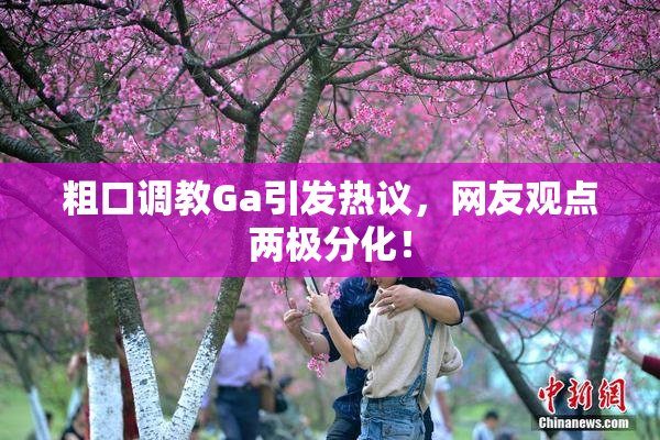 粗口调教Ga引发热议，网友观点两极分化！