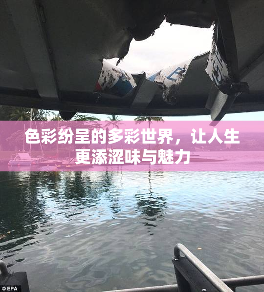 色彩纷呈的多彩世界，让人生更添涩味与魅力