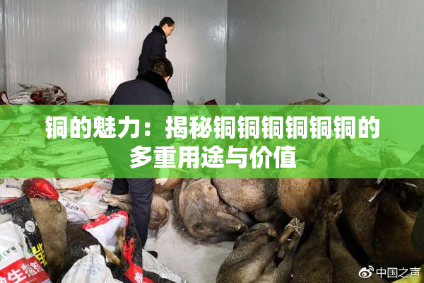 铜的魅力：揭秘铜铜铜铜铜铜的多重用途与价值
