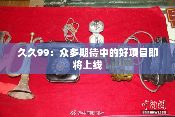 久久99：众多期待中的好项目即将上线
