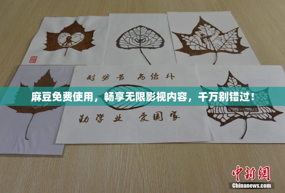 麻豆免费使用，畅享无限影视内容，千万别错过！