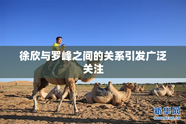 徐欣与罗峰之间的关系引发广泛关注