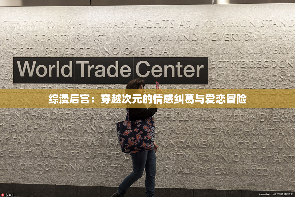 综漫后宫：穿越次元的情感纠葛与爱恋冒险