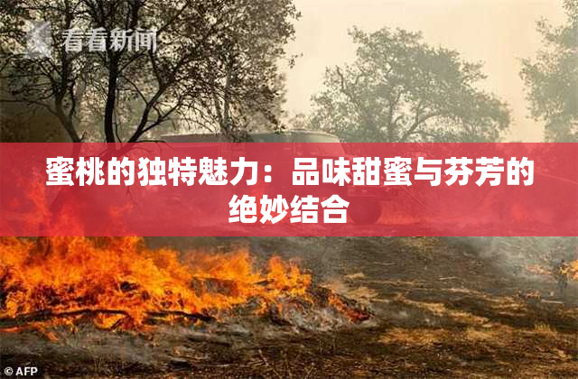 蜜桃的独特魅力：品味甜蜜与芬芳的绝妙结合