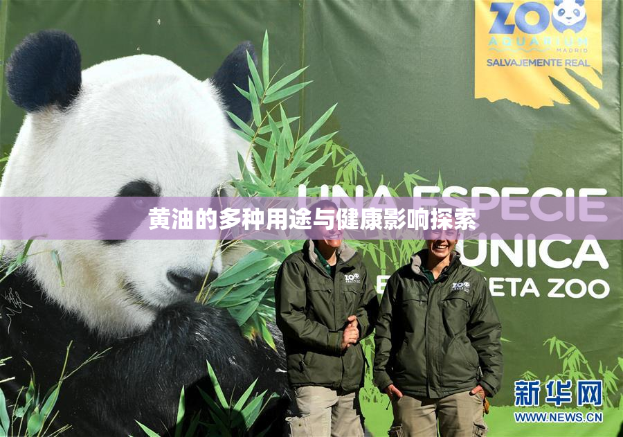 黄油的多种用途与健康影响探索