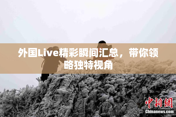 外国Live精彩瞬间汇总，带你领略独特视角