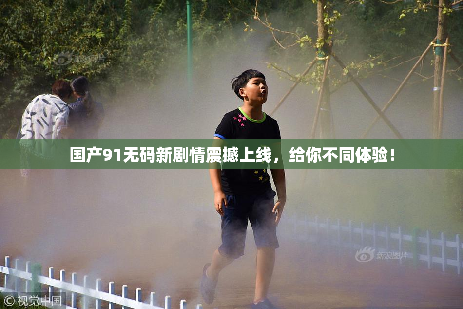 国产91无码新剧情震撼上线，给你不同体验！