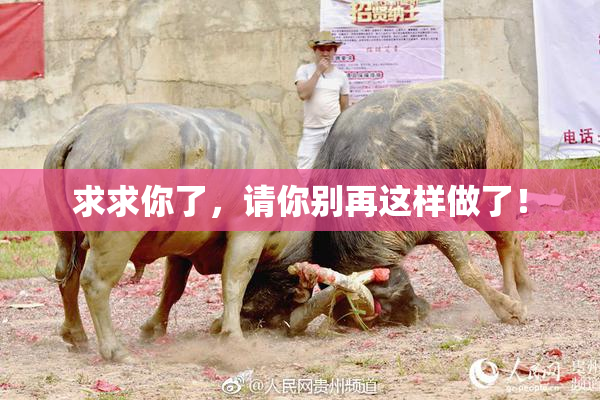 求求你了，请你别再这样做了！