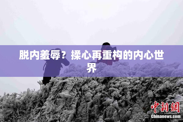 脱内羞辱？揉心再重构的内心世界