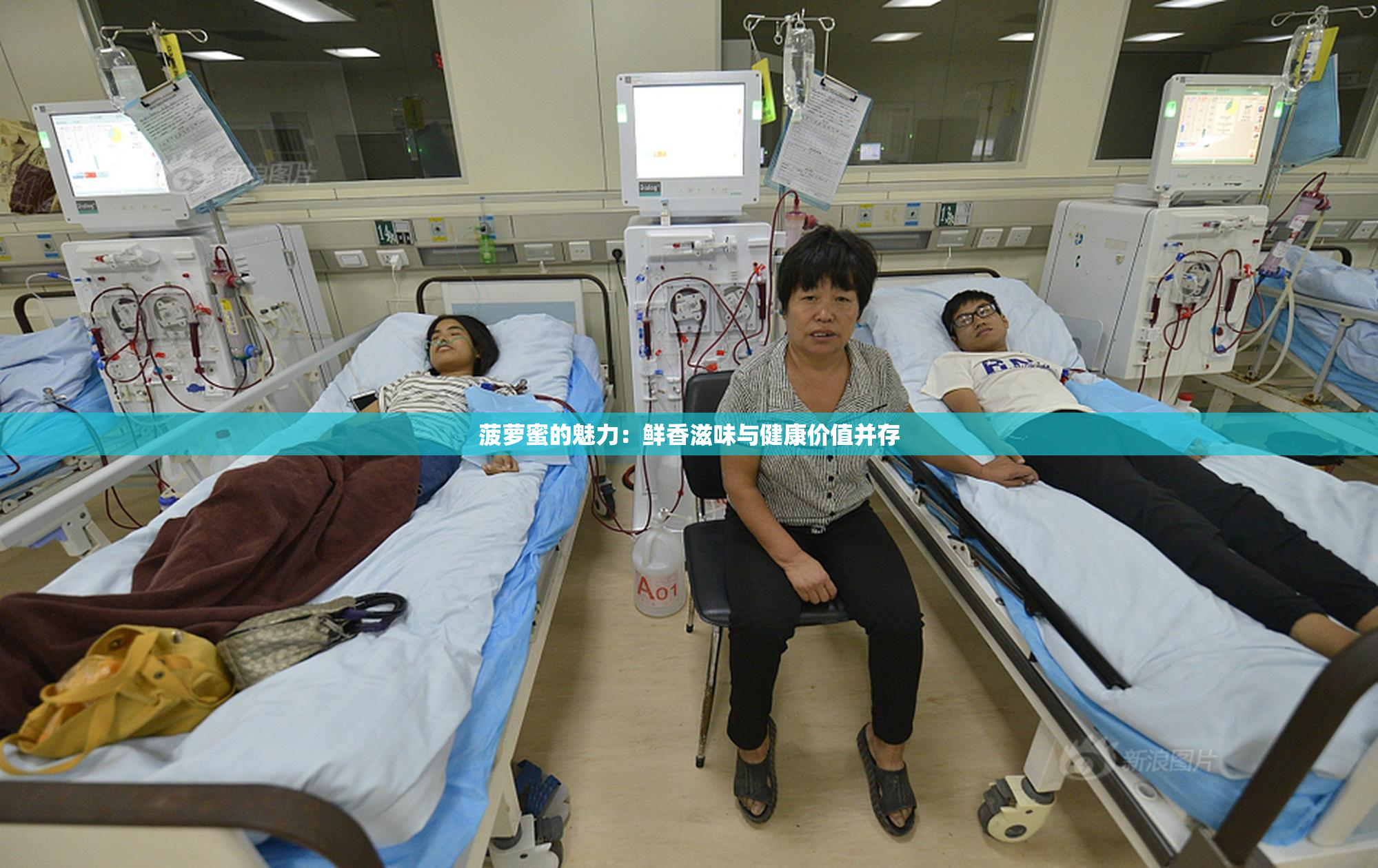 菠萝蜜的魅力：鲜香滋味与健康价值并存