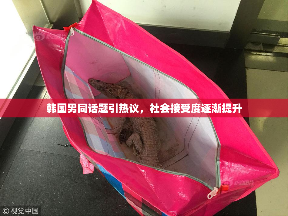 韩国男同话题引热议，社会接受度逐渐提升