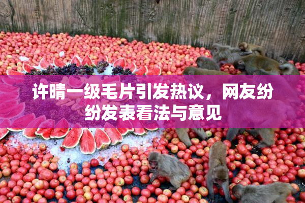许晴一级毛片引发热议，网友纷纷发表看法与意见