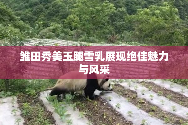 雏田秀美玉腿雪乳展现绝佳魅力与风采