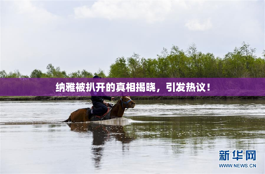 纳雅被扒开的真相揭晓，引发热议！