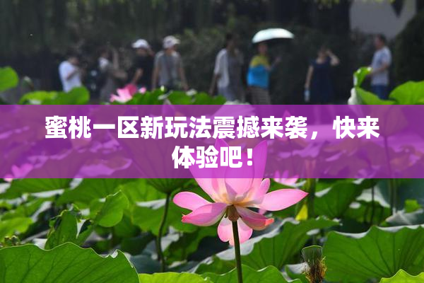 蜜桃一区新玩法震撼来袭，快来体验吧！